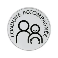CARLINEA Disque conduite accompagnée électrostatique -